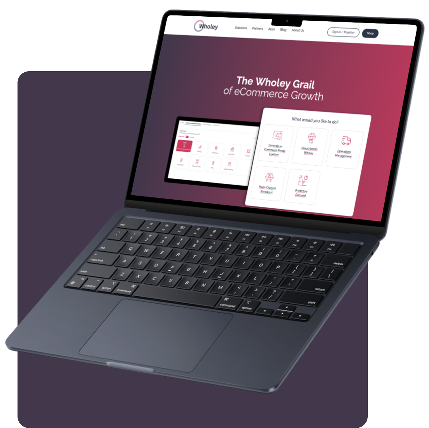 Wholey website project outcome and business impact